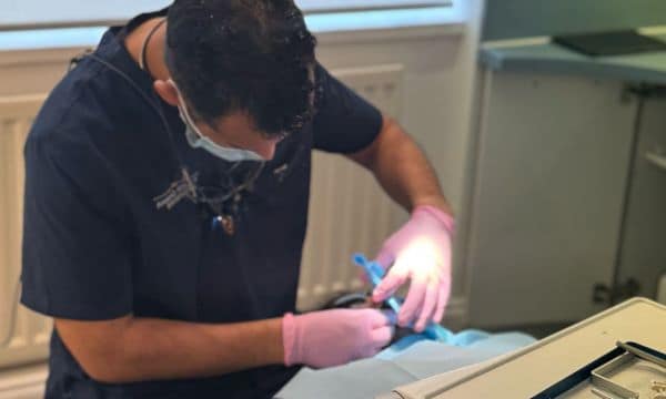 Orthodontics